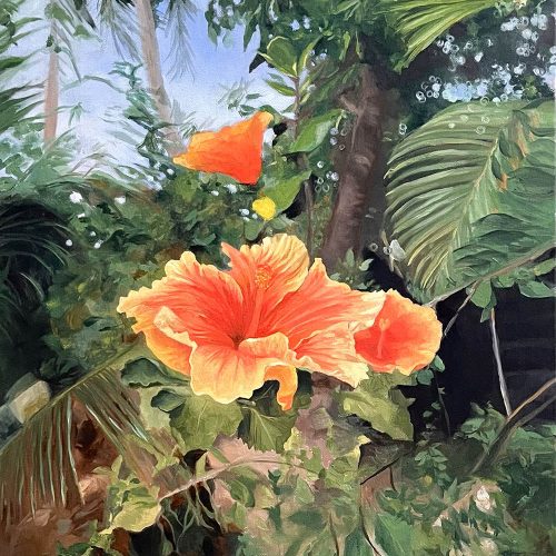 Karina Maharaj Hibiscus 16x20